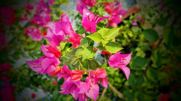 Aspirations industrielles : un partenaire pour votre succès